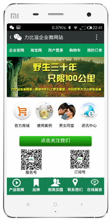 東革阿里手機(jī)網(wǎng)站案例