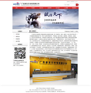 廣東新東方光電網(wǎng)站建設(shè)案例
