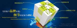 企業(yè)宣傳網站建設有什么作用？